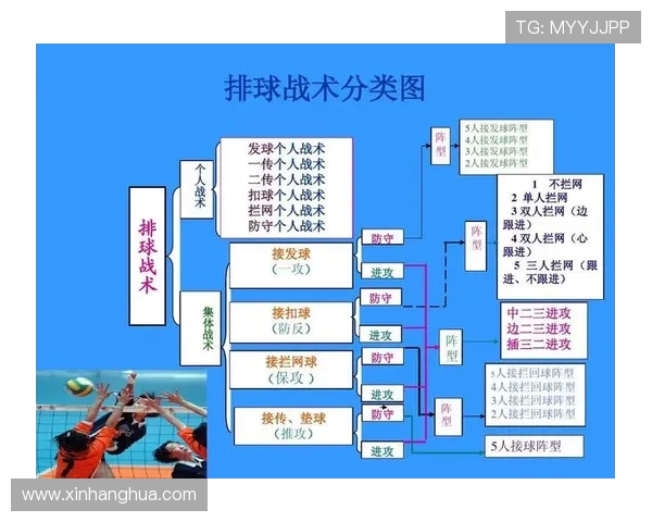 上海排球队意识对比深度解析与战术演变探讨