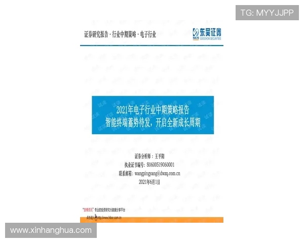 《探究Bin上单的成长历程与电竞职业生涯，解锁背后的策略与心路历程》