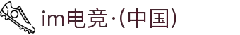IM(股份有限公司)电竞-电子竞技平台